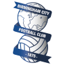 Birmingham Logo
